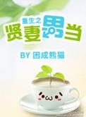 重生之贤妻男当全文加番外