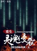灵魂侵袭简介