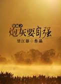 穿越 炮灰