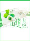 旧情易燃