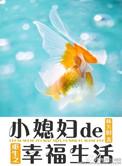 重生之小媳妇的幸福生活作者慕夏衣