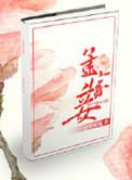 孟家妾大结局番外篇