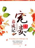 宠妾养成记2