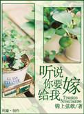 听说你要嫁给我了是什么歌