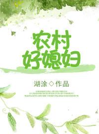 重生农村好媳妇张宁