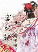 宫妃记姚桉桉