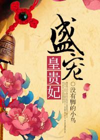 盛宠皇贵妃盛琼华正版阅读