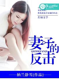 电视剧妻子的反击