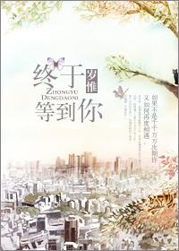 终于等到你 免费阅读