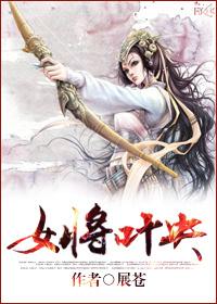 女将军叶昭电视剧