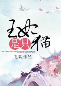 王妃是只猫飞翼番外篇