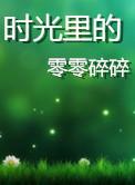 时光里的零零碎碎在线阅读