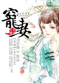 重生之宠妻在上免费阅读