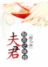别忘记休我免费阅读