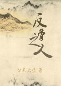 反骨之人作者阳关大盗