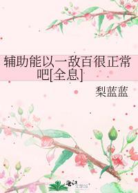辅助可有可无吗