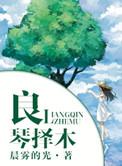 良琴择木by晨雾的光讲的什么
