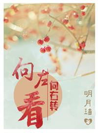 向右转书版番外
