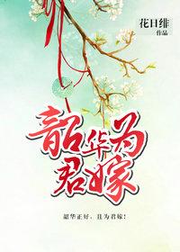 韶华为君嫁全本免费阅读