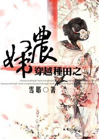 穿越之种田农妇