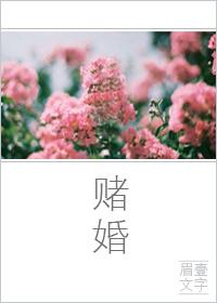 赌婚 七秒记忆的yu