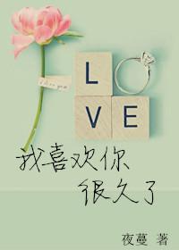 我喜欢你很久了晋江