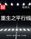 重生之平行线加料