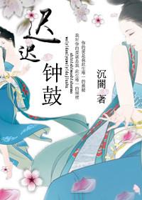迟迟钟鼓 初长夜打三个数