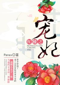 红楼之宠妃TXT全文