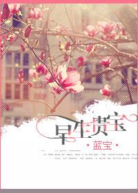 早生贵宝txt蓝宝书评