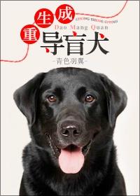重生成导盲犬大结局