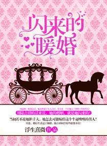 闪来的暖婚TXT