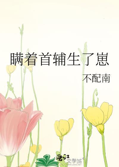 瞒着首辅生了崽阮玲珑笔趣阁