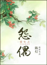 重生之怨偶陈灯讲了什么