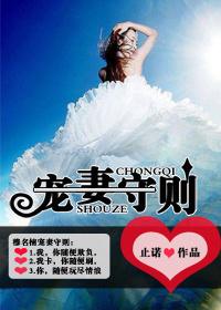 宠妻手机阅读_仙侠_言情阁