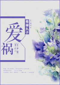 爱祸福禄丸子txt百度资源