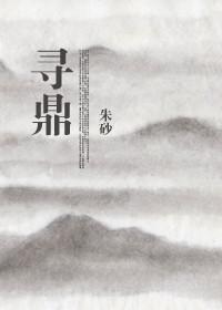 寻鼎记未删减版