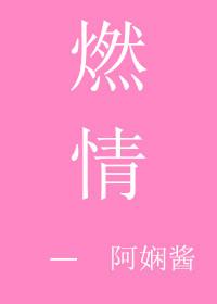 燃情仕途张莉张慧合集