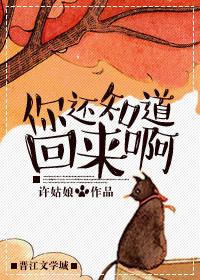你知道回来了