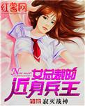 女总裁的近身兵王后续
