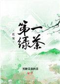 长安第一绿茶100章