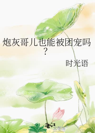 炮灰哥儿后穿书TXT