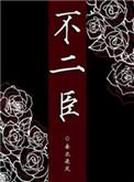 不二臣讲的什么