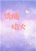 诱捕焰火免费阅读