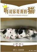 听说你是我的猫免费阅读