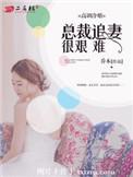 高调追妻