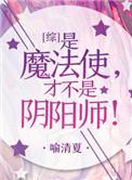 是魔法使才不是召唤师格格党