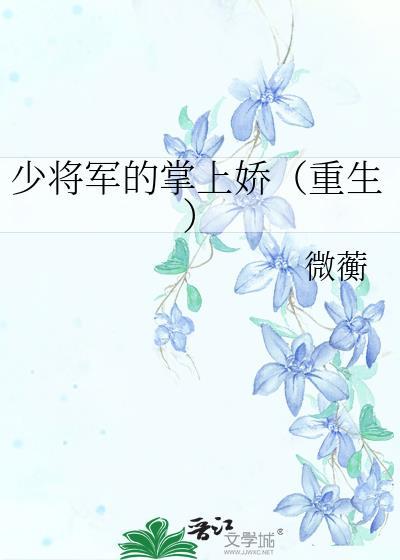 少将军的军中侍妾高NpH