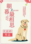 朝暮最相思完整全文免费阅读地址