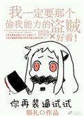 我一定要那个偷我能力的盗贼好看